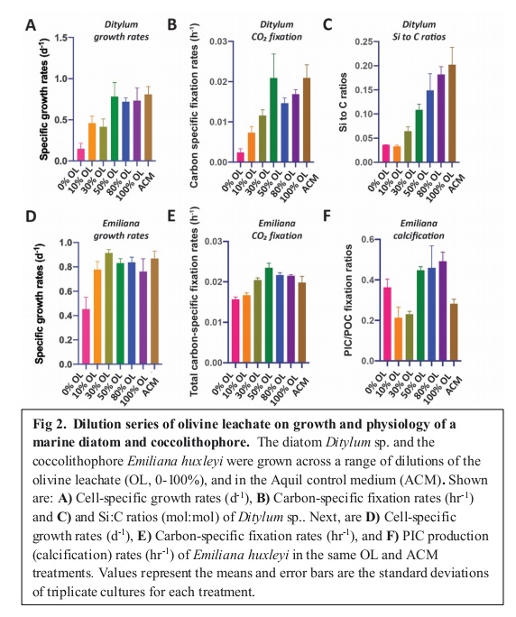 geoengineering1's tweet photo. #CoastalEnhancedWeathering (CEW) via the addition of the common mineral #Olivine to coastal waters is one promising approach to enhance #OceanAlkalinity for large-scale #CDR.
π To monitor the responses (#physiological & #biogeochemical) of keystone phytoplankton groups to olivine dissolution products and
implications for #CarbonDioxideRemoval via #OceanAlkalinityEnhancement, researchers grew "several globally important #phytoplankton functional groups under elevated concentrations of olivine dissolution products using a #synthetic olivine leachate (OL) based on olivine elemental composition," a new preprint reported.
π Results suggest "olivine dissolution products appear unlikely to cause #negative effects for #marine #phytoplankton, even at high concentrations, and may support the growth of particular taxa under some conditions; for example, the non-N2-fixing #picocyanobacterium could use synthetic olivine-derived iron for growth."
π‘ "Future studies can also shed light on determining how biological processes like #photosynthesis, #respiration, and organic ligand production could influence olivine dissolution #kinetics and their impacts on carbon dioxide removal."
Read the preprint ππ»
https://t.co/VS277iyDn6