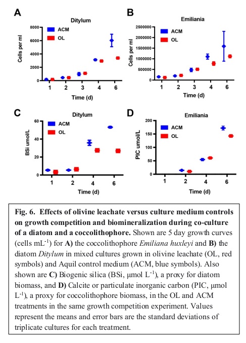 geoengineering1's tweet photo. #CoastalEnhancedWeathering (CEW) via the addition of the common mineral #Olivine to coastal waters is one promising approach to enhance #OceanAlkalinity for large-scale #CDR.
π To monitor the responses (#physiological & #biogeochemical) of keystone phytoplankton groups to olivine dissolution products and
implications for #CarbonDioxideRemoval via #OceanAlkalinityEnhancement, researchers grew "several globally important #phytoplankton functional groups under elevated concentrations of olivine dissolution products using a #synthetic olivine leachate (OL) based on olivine elemental composition," a new preprint reported.
π Results suggest "olivine dissolution products appear unlikely to cause #negative effects for #marine #phytoplankton, even at high concentrations, and may support the growth of particular taxa under some conditions; for example, the non-N2-fixing #picocyanobacterium could use synthetic olivine-derived iron for growth."
π‘ "Future studies can also shed light on determining how biological processes like #photosynthesis, #respiration, and organic ligand production could influence olivine dissolution #kinetics and their impacts on carbon dioxide removal."
Read the preprint ππ»
https://t.co/VS277iyDn6