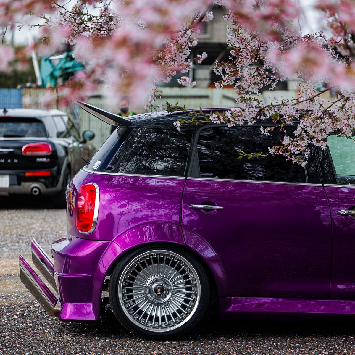 MINImiR6000's tweet photo. 春のMINI🌸
#カメラマン撮影
#桜
#近所の桜
#桜が綺麗 
#紫MINI
#R60
#ミニクロ
#大事な愛車
#自己満足の極地
#好きは人それぞれ https://t.co/OdN2V9WKf9