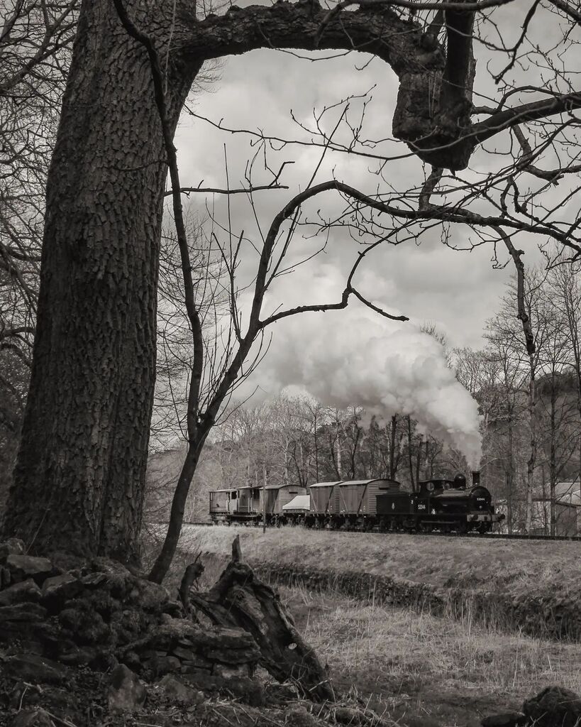 AdamJohnAshford's tweet photo. Barking up the branch. 

Lancashire &amp; Yorkshire Railway Class 25 Ironclad No 52044 hustles its way through the woodland near Oxenhope during the 30742 Charters event.

#trainsofinstagram #trains #train #uksteam #uksteamtrains #ukrailscene #ukrailwaypics … https://t.co/01hAwVl1A1 https://t.co/otSoeEJMTo