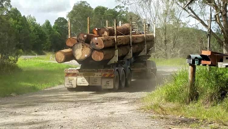animaljusticeAU's tweet photo. ... "We believe @NSWLabor first priority should be to PROTECT identified #koala habitat from industrial logging plans
within the promised
#GreatKoalaNationalPark
@PennySharpemlc
'Koala hubs' identified in 2017 felled for woodchips."
- Dorrigo Environment
#StandUpForForests https://t.co/W21OmTOkY0