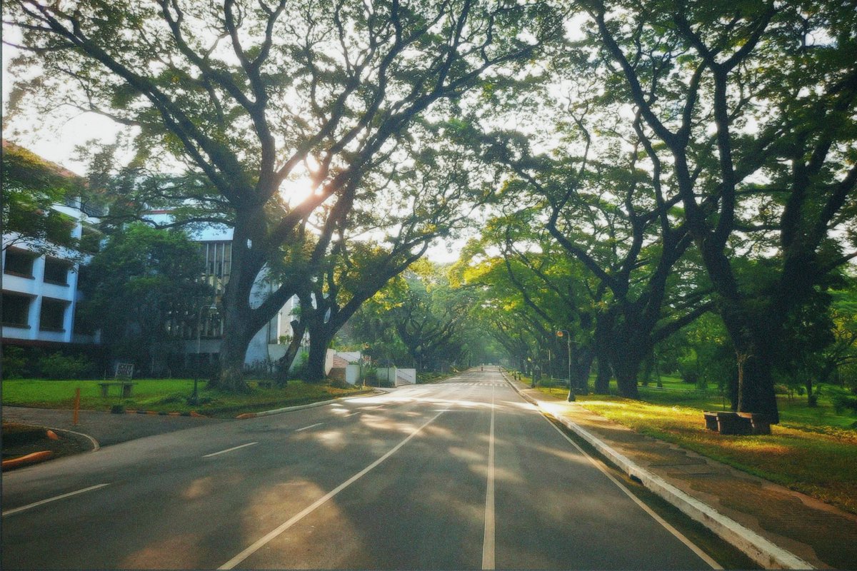 ronixtec's tweet photo. [KYUSI]

A CHAESOO one-shot where love is a constant choice.

"Sasamahan ka sa Kyusi at iikutin na ang UP Diliman." https://t.co/98CKSdEtsi