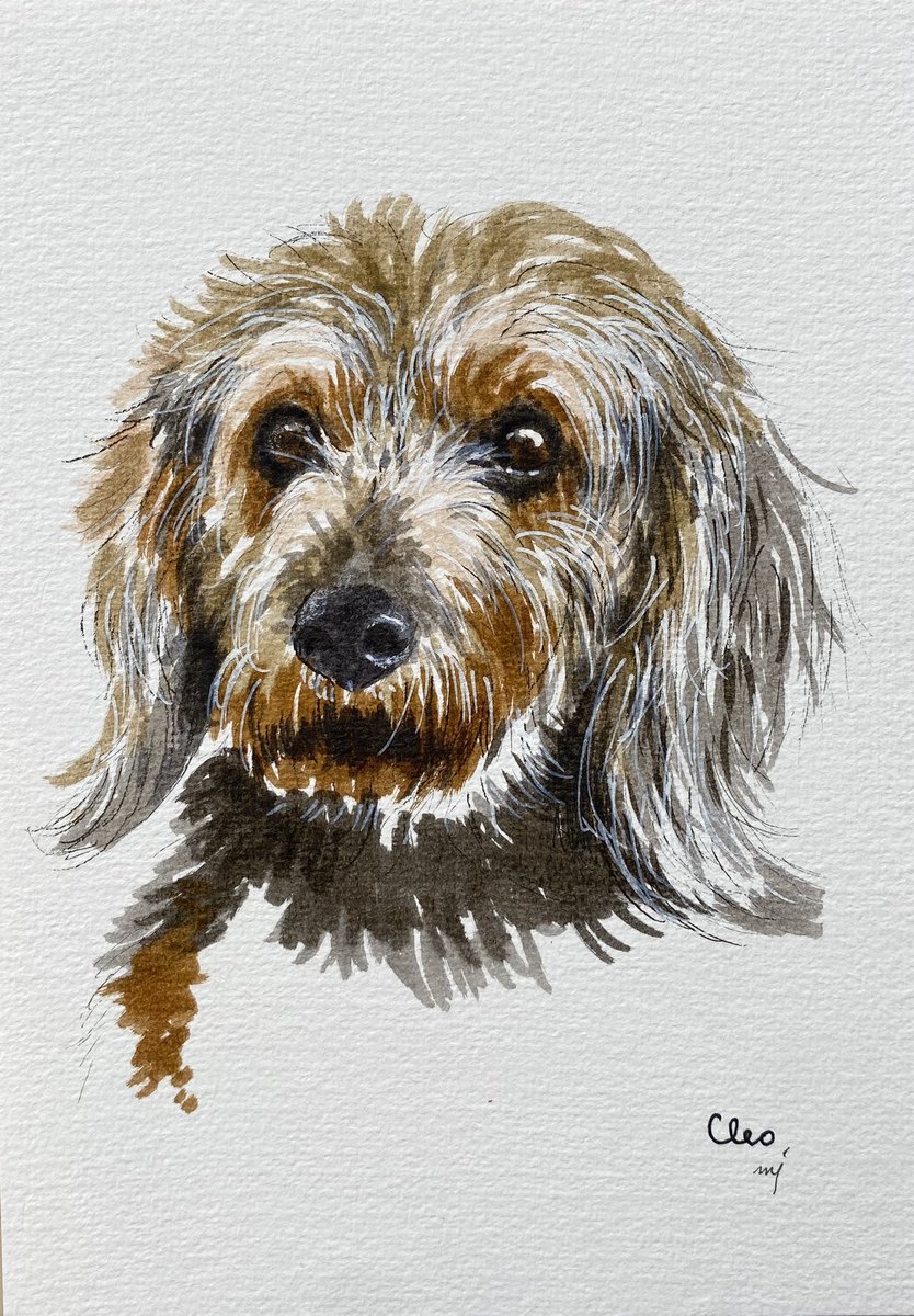 Timba &amp; Cleo

I met these two dogs, Timba and Cleo when I visited my friend's place during Easter break. They are so sweet and love to stare at me. 

#dogart #dogoftwitter #dogportrait 
Instagram @chellejung_draws