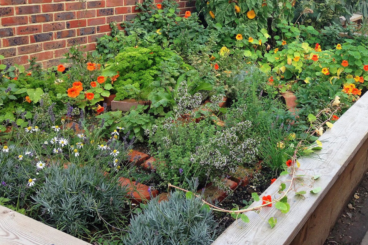 Round 1 of Local School Nature Grants 2023 is open until April 28th!

Choose from raised planters, loose parts kits, waterproof clothing, and more. Plus, book a specialist training session with a member of our team – all covered by the grant!

Apply ➡️ ltl.org.uk/projects/local…