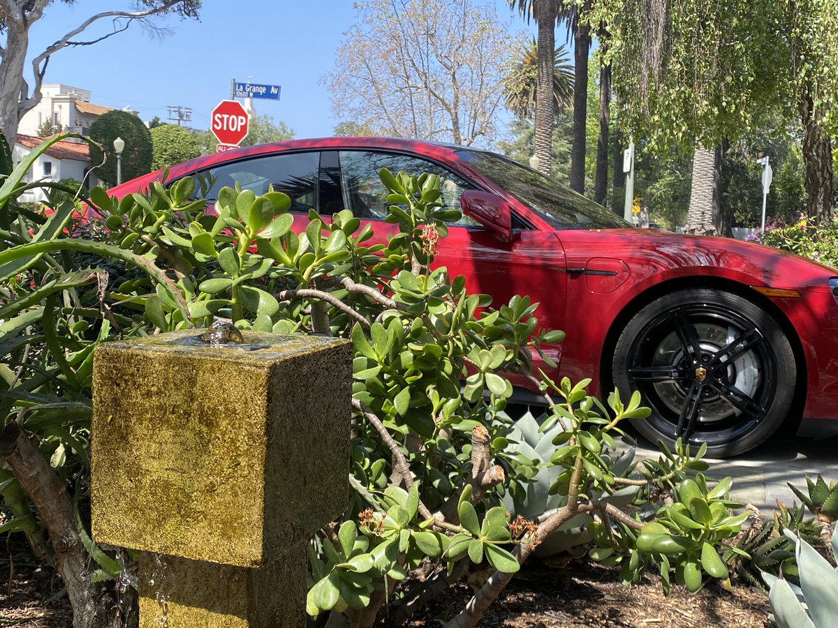 ALEX DAVIS, OKAY? (@alexdavisokay) on Twitter photo 