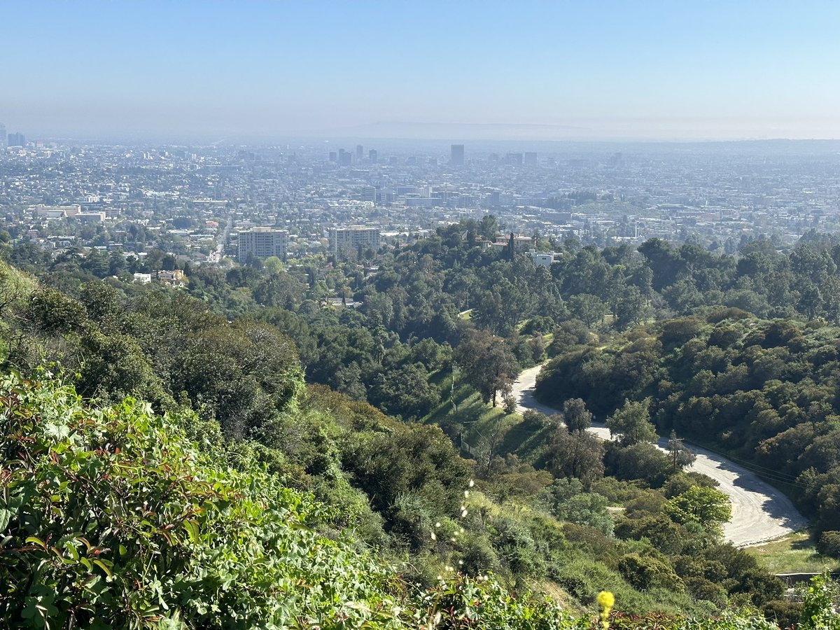 TheBusterMonkey's tweet photo. From an awesome hike I took today at Griffith Park! What a beauty ☀️🌳🏙️ have an awesome day everyone! https://t.co/FQrpRohsbD