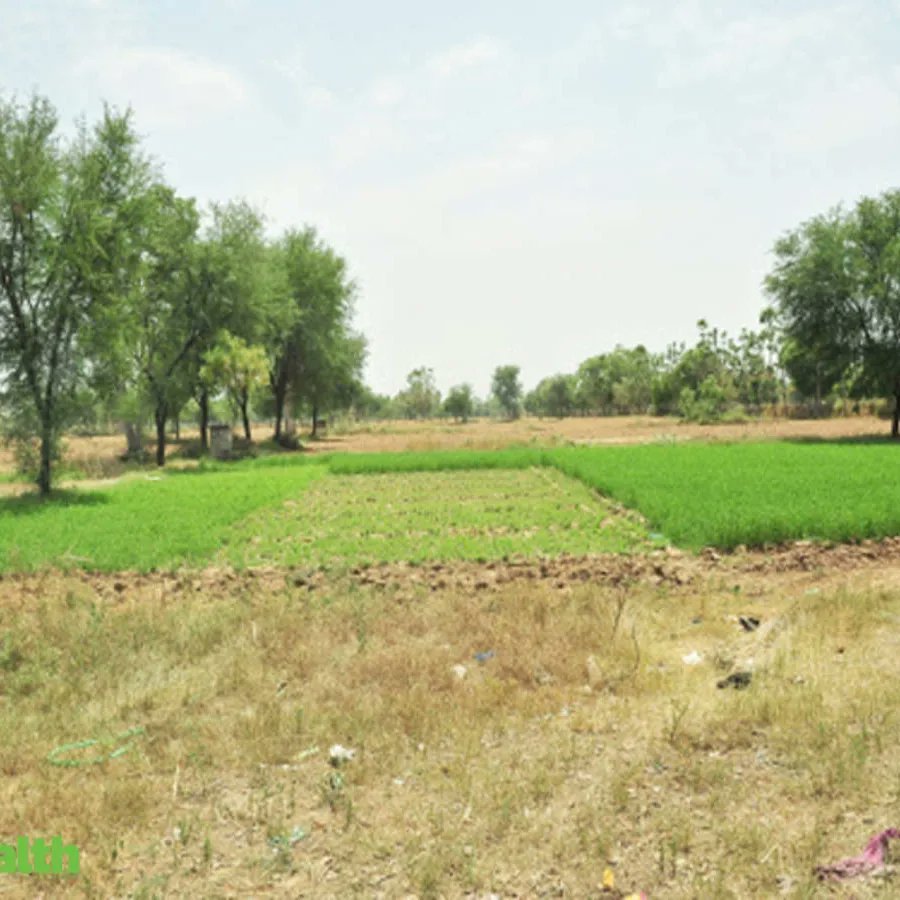 RameshwaramRaj's tweet photo. . We are experienced in Saving Your Money; after all, Your Concern Is our Priority. Your choice is our concern. It’s Your Journey, and We’re Here happy to Help. Plot  for sale in bhergawa at very lowest price
Please contact us given below number.
7667904899
#PlotInPatna https://t.co/SgMSqvbWeR