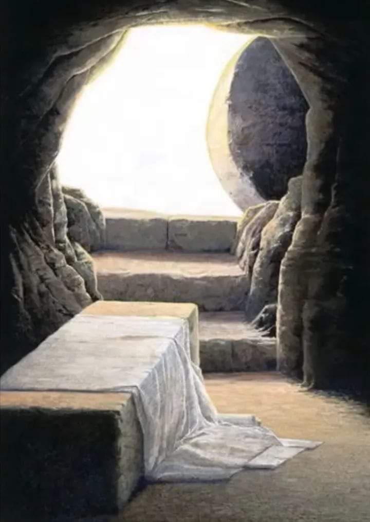 PDAdedapo's tweet photo. ...But God has redeemed my soul from the power of the grave.
The tomb is empty, He rose and I rose.
#IAmRedeemed
#HeRose
#IRose
#IAmFree
#PastorDavidAdedapo https://t.co/JON3653jD7