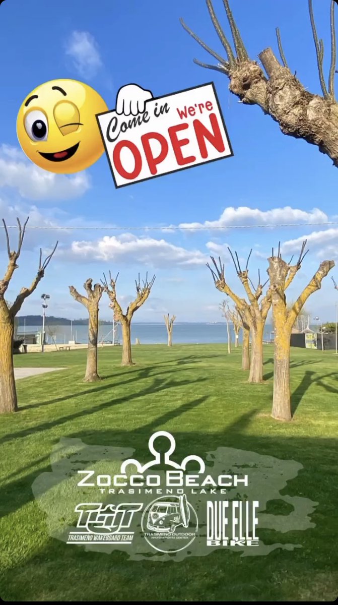 Zocco Beach tweet media