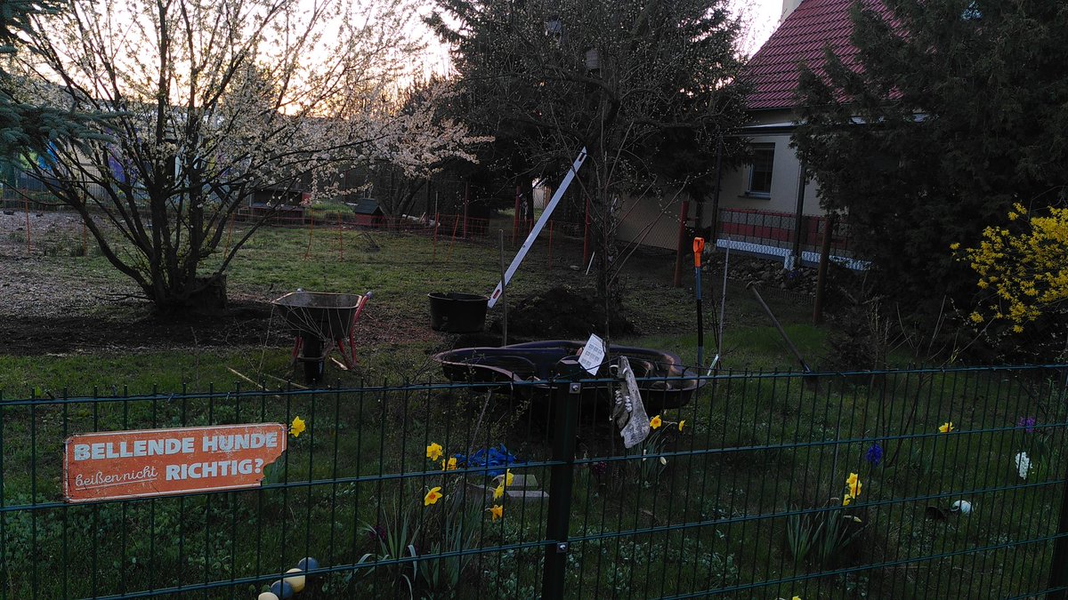 Airborne_Any's tweet photo. Wer nicht genügend #BaustellenImLeben hat, der schafft sich Welche!Projekt für heute: Ein neuer kleiner Gartenteich für #Bienen #Insekten #Vögel #Eidechsen #KleineSäugetiere #ANNIsKleineFarm #GardensForFuture #FridaysForFuture #FürEineBessereZukunft #Natur https://t.co/yuULyaD31p