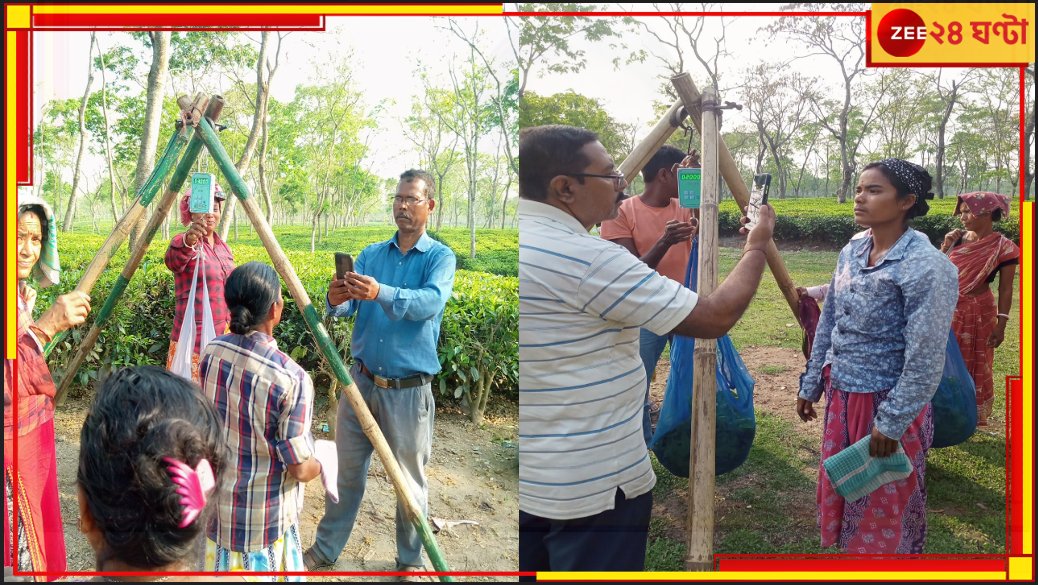 Zee24Ghanta's tweet photo. চা শ্রমিকদের কাজে বড় রদবদল

#TeaPlantation #TeaWorker

https://t.co/DBWS5pA2Ko https://t.co/MnPCAeq4Qm