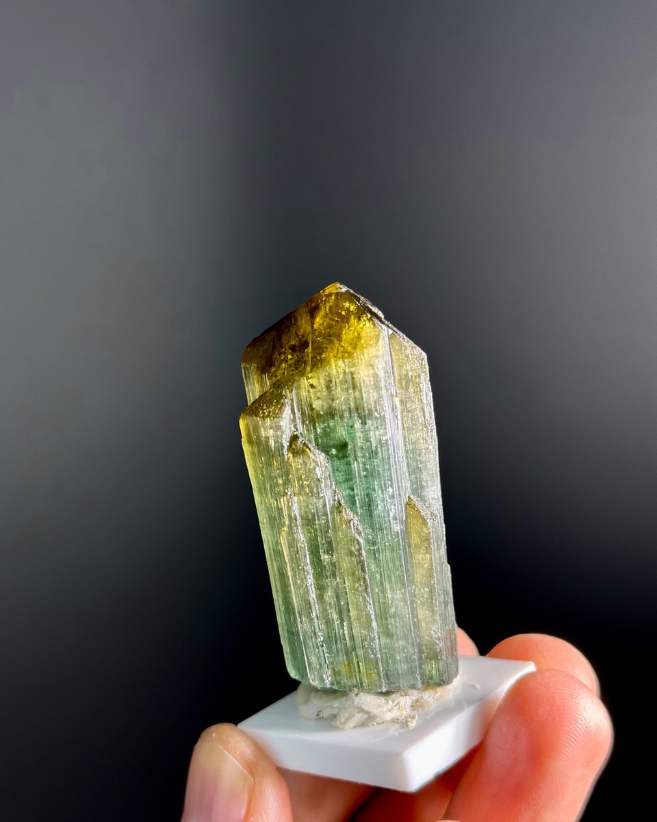 grpgems's tweet photo. "Nature's masterpiece in every crystal ✨ #tourmaline #brazilgems #naturesbeauty #crystalhealing" https://t.co/XifrpM28Jx