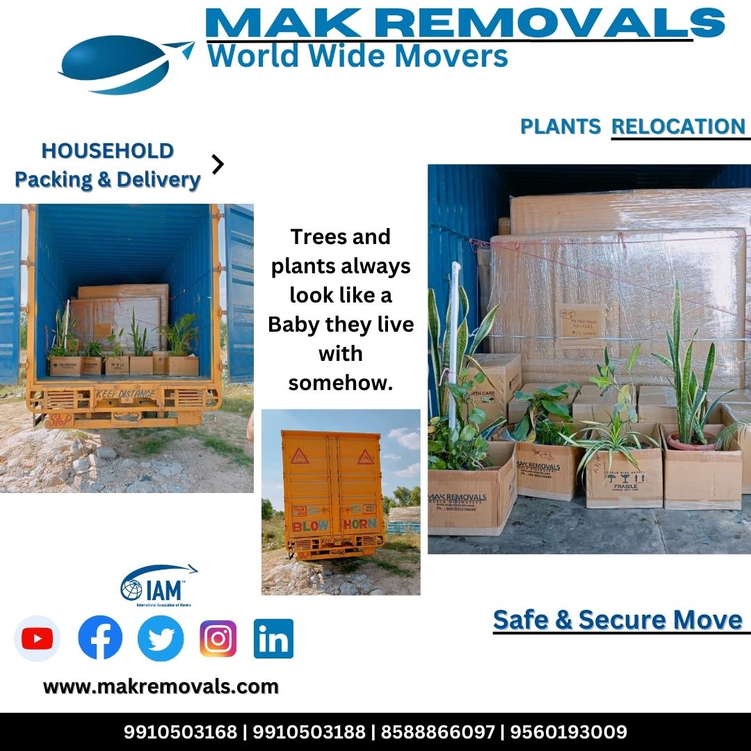 Makremoval's tweet image. Moving plants by yourself can become an arduous and time-consuming task. Additionally, there is a greater risk of causing damage, such as pot breakage, plants withering due to temperature fluctuations, or a lack of water during transportation. #makremovals #plantrelocation