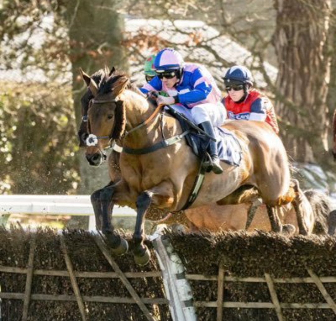 All the very best of luck to amateur jockey Rupert Wilks who travels to Fakenham to ride Dickie Diver for trainer John Whyte in the Hunters Chase.

<a href="/Rupertwilks11/">Rupert Wilks</a> is improving all the time

Crossey's Coaching sponsored by <a href="/Fitzdares/">FITZDARES</a>