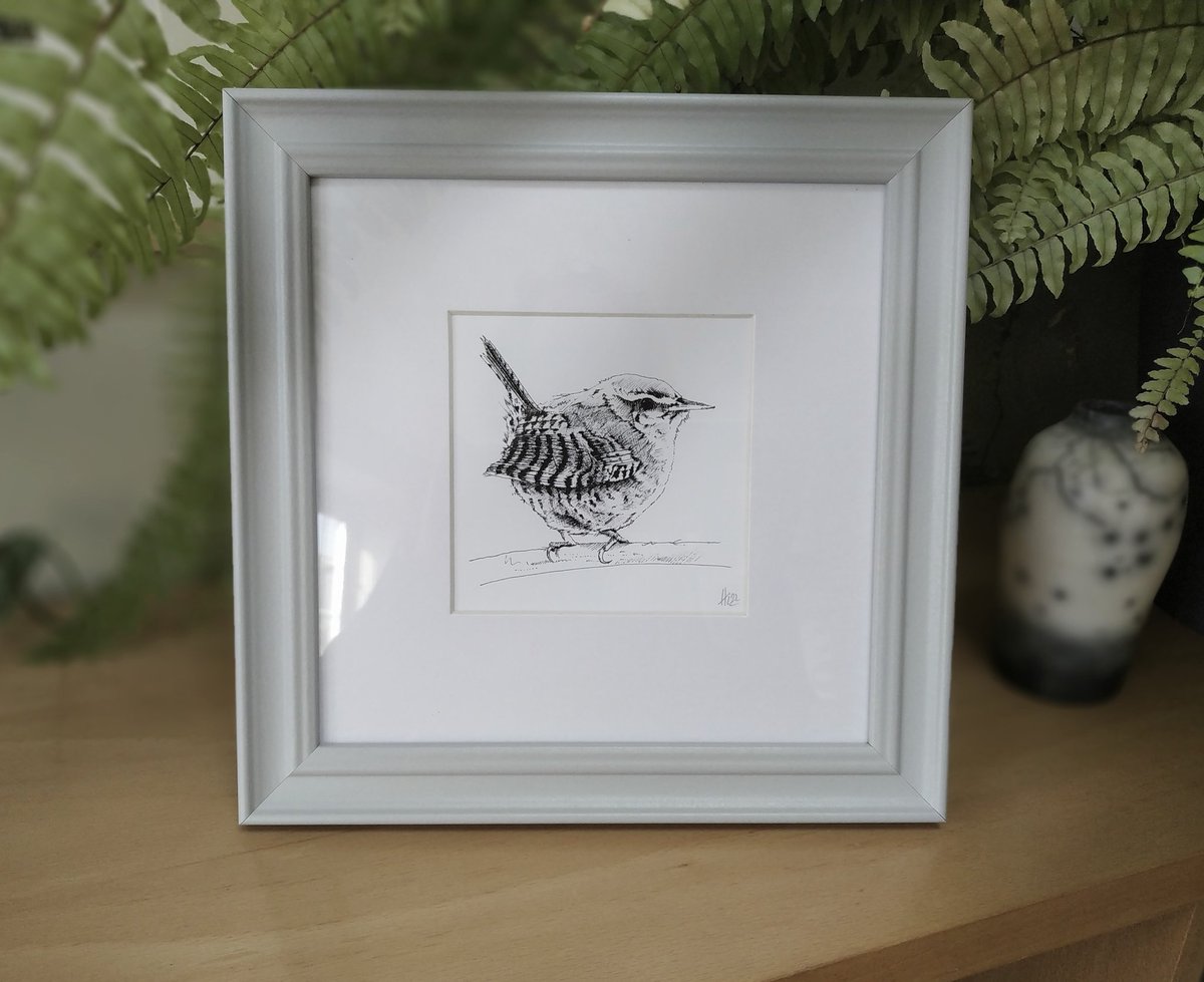 Sweet Wren in a light grey wood frame under glass. Perfect to brighten up a shelf or tabletop.
etsy.com/listing/933553…
#earlybiz #artontwitter #birdwatching