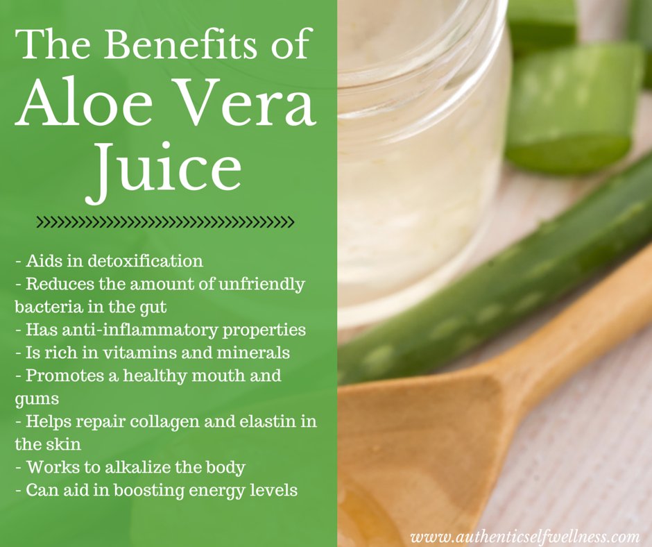 Organic Live Food on Twitter "Aloe vera can help to improve