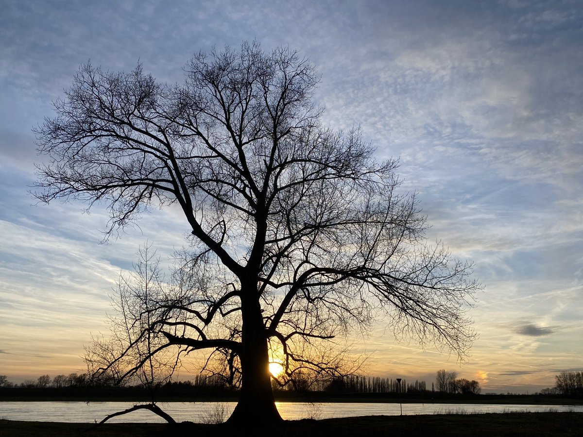 Licht dat ons aanstoot in de morgen.

Voor mij een van mijn meest kostbare zinnen uit het rijke repertoire van Huub Oosterhuis (1 november 1933- 9 april 2023).
