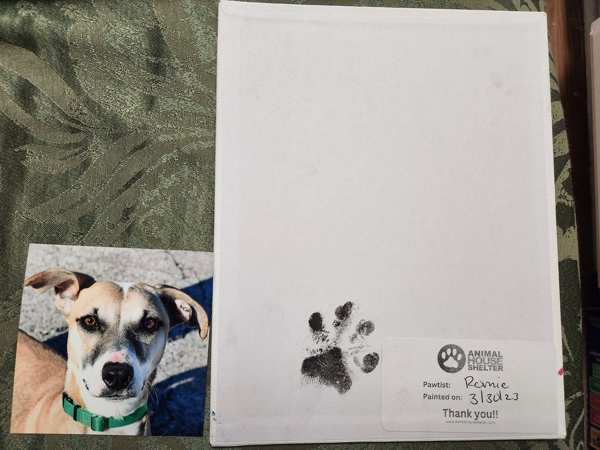 LeilaniIsadore's tweet photo. Absolutely love😍 my AHS dog artwork by pawtist, Romie!!!❤️🐶 Thank you so much!! 
#animalhouseshelterhuntley 
#animalrescue
https://t.co/m4IJMQ4jyh https://t.co/JXLRTzS2pG