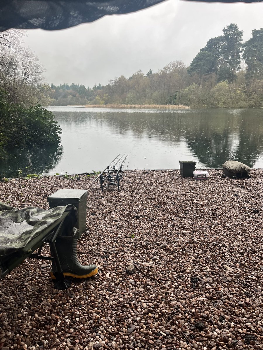 bones1004's tweet image. Wet bivvy day for my birthday