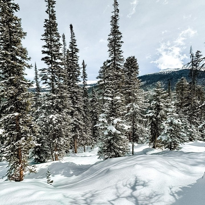 InTheSnow Magazine tweet media