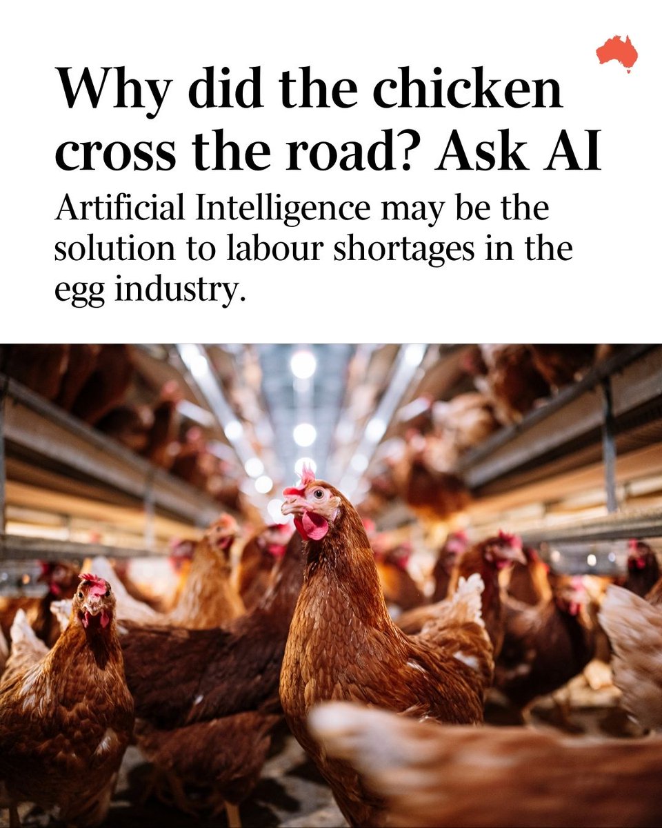 Labour shortages and the impracticality of constant surveillance have made keeping a close watch on chickens nearly impossible, but a camera system backed by artificial intelligence could be the solution to egg farmers' troubles. Read more: bit.ly/41gzG7F