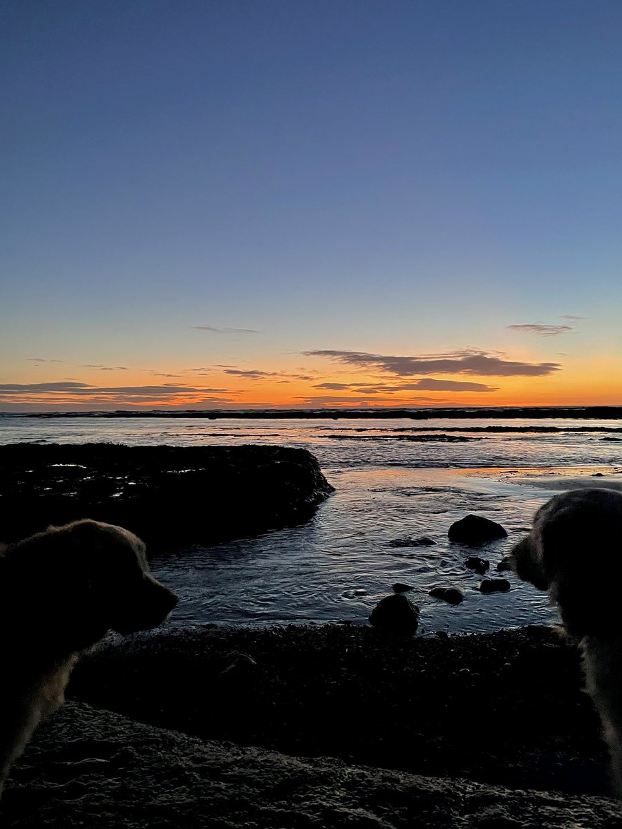 MissMoPrimary's tweet photo. @merrillteaches Robin Hoods Bay or Whitby! Spent Christmas there and it was stunning 🤩 https://t.co/0MnVo35RDs