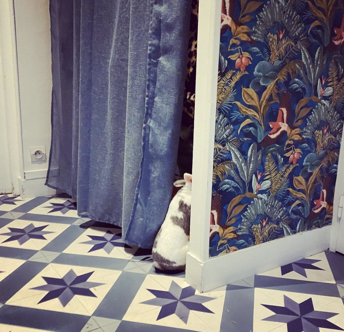 palais_au's tweet image. Non mais si on ne peut pas manger les livres ET les liseuses ET les fils électriques ET les plinthes des murs,
Que reste t’il du bonheur de la vie ?