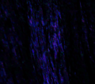froggishpaint's tweet photo. she posted this and said "Theres a gorilla in ther. He wont let me line him though i dont know how" and normally i dont see what she sees but this time i ALSO saw the gorilla and had to do what her hands could not https://t.co/BbgukU3dNJ