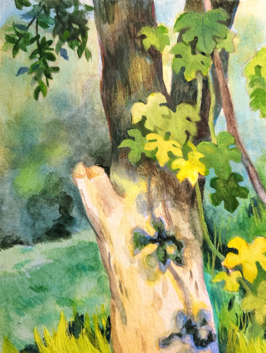Pleinairpril 09/30!!! Tree from Descanso gardens