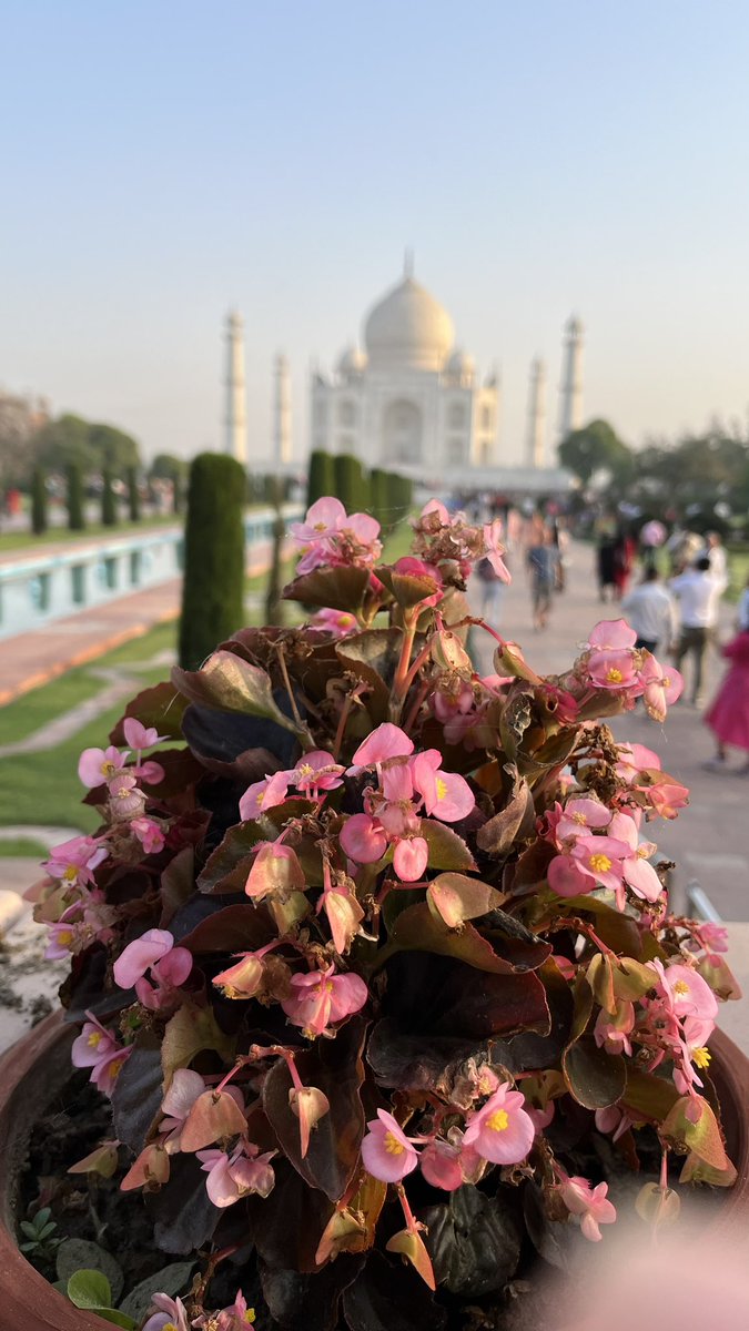 SANDEEPANTIL3's tweet photo. Taj Mahal https://t.co/kl42U8UXbi
