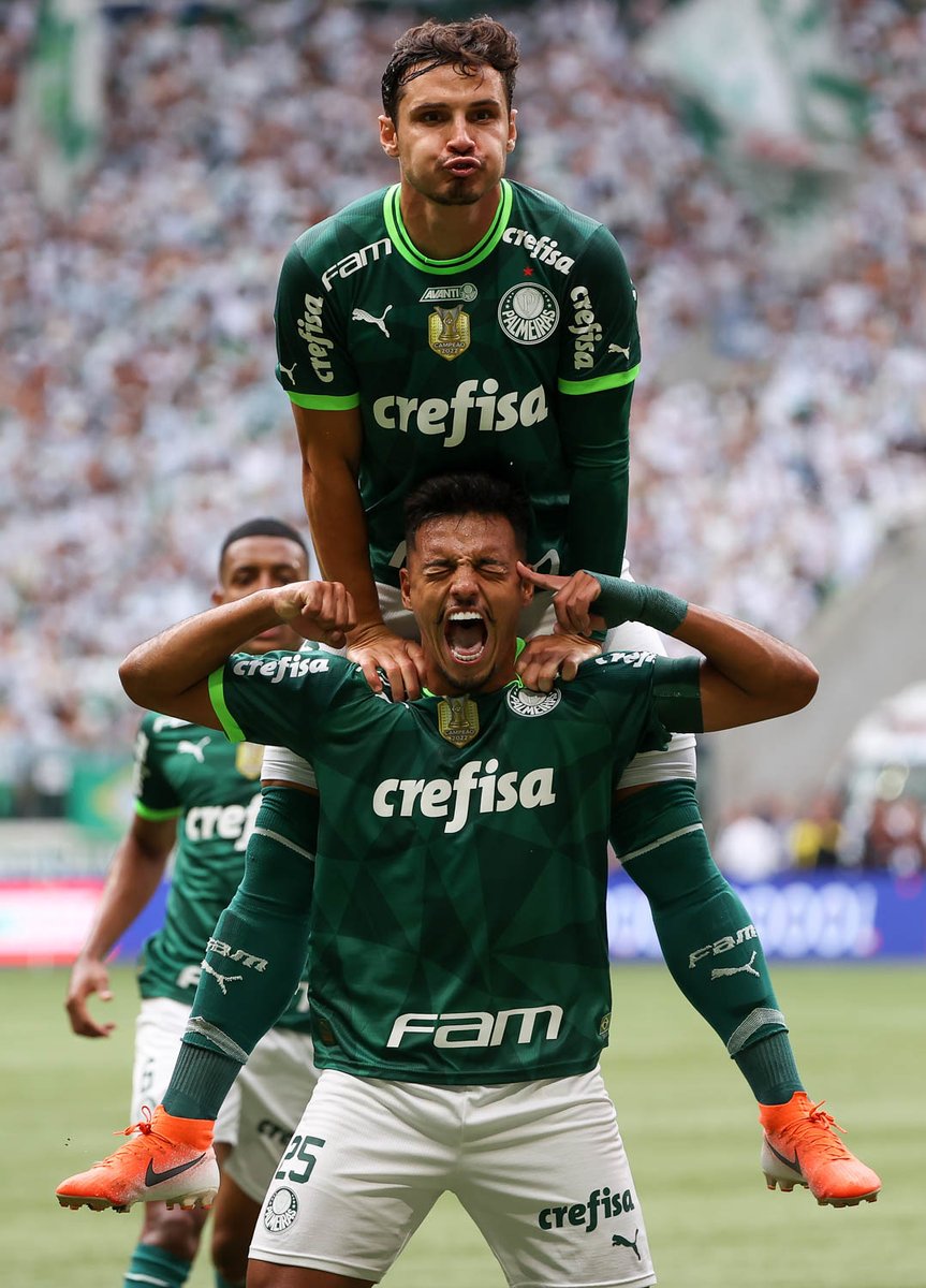 O menino cresceu em finais .👏👏💚💚🐷 campeão paulista 2023