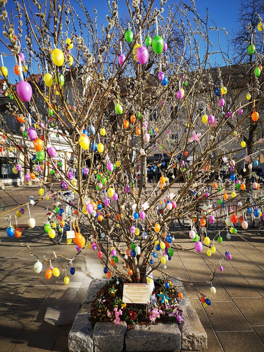 Eine wunderbare Idee hatte ein Verein für Sternenkinder heuer in Klagenfurt, einen Osterstrauch, an den Eltern bunte Eier mit dem Namen ihres Sternchens hängen können ❤️❤️❤️