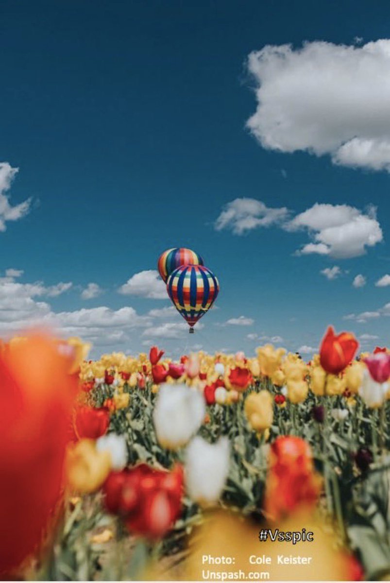 GameChangeYL's tweet photo. A dragonfly took Higgenblooms balloon in a flash of wings and cerated chitin. The crews screams faded quickly in the tulip forrest. The race to #disconnect the power source of the shrink ray that had reduced them to soap bubble size took on a greater sense of urgency. 

 #vsspic https://t.co/3a6BAiAlBh