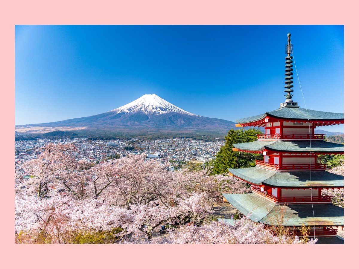 🌸🌸🌸×🛕×🗻①
ここはやはり行っておかないと🏃
#忠霊塔 #富士山 #桜 #japan #chureitopagoda #sakura #mtfuji