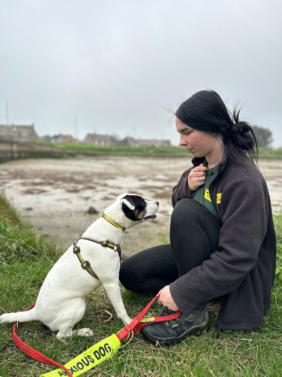 Mary Montgomery on Twitter "RT DT_Shoreham Logan is out with his