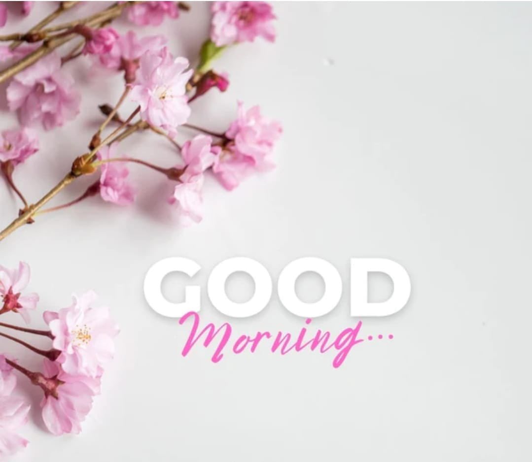 Prof_AlHoqail's tweet photo. #goodmorning #صباح_الخبر #GoodMorningEveryone #GoodMorningTwitterWorld 🌅🌍🦋🕊️🐝🦚🦩🌎🌏🕊️🕊️🕊️🕊️🕊️🌸🌸🌸🌸🌸🌸🌸🌹🌹🌹🌹🌹🌹🌹#SaudiArabia #gcc #middleest #theworld #trending #positivemindset #positivevibes https://t.co/uQEXOt4A00