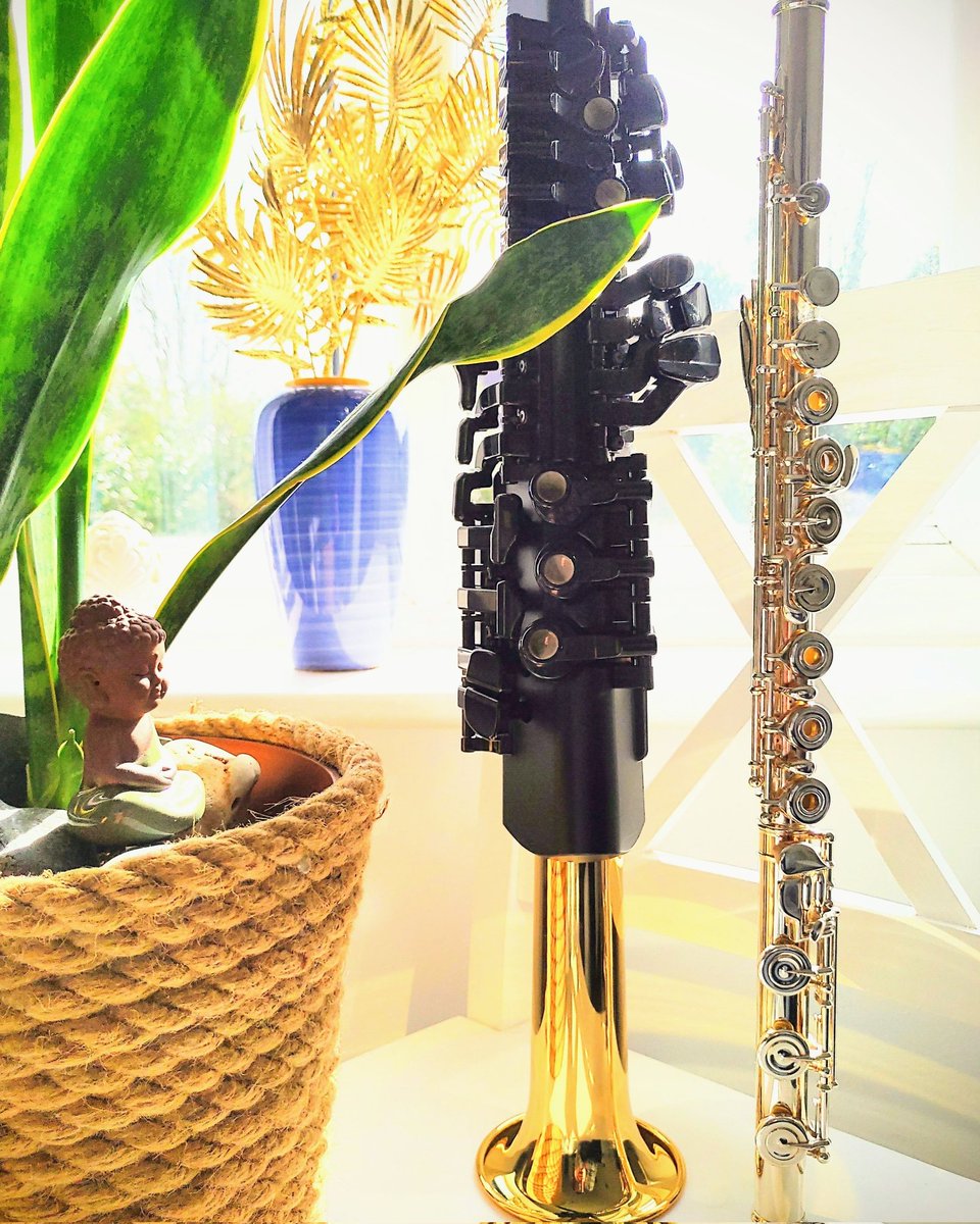 AlidaRinaldoni's tweet photo. #music #saxophone #flute #digitalsax #midi #homerecording https://t.co/hSHU4WQOTQ