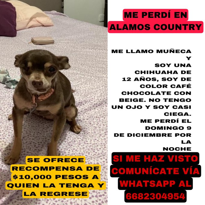 AYUDEN A MI VIEJITA A REGRESAR, SOY DE LOS MOCHIS SINALOA 😭😭😭 https://t.co/JZg3w7xEXl<a href="/tag/nuevafotodeperfil"class="tags"><span>#nuevafotodeperfil</span></a>