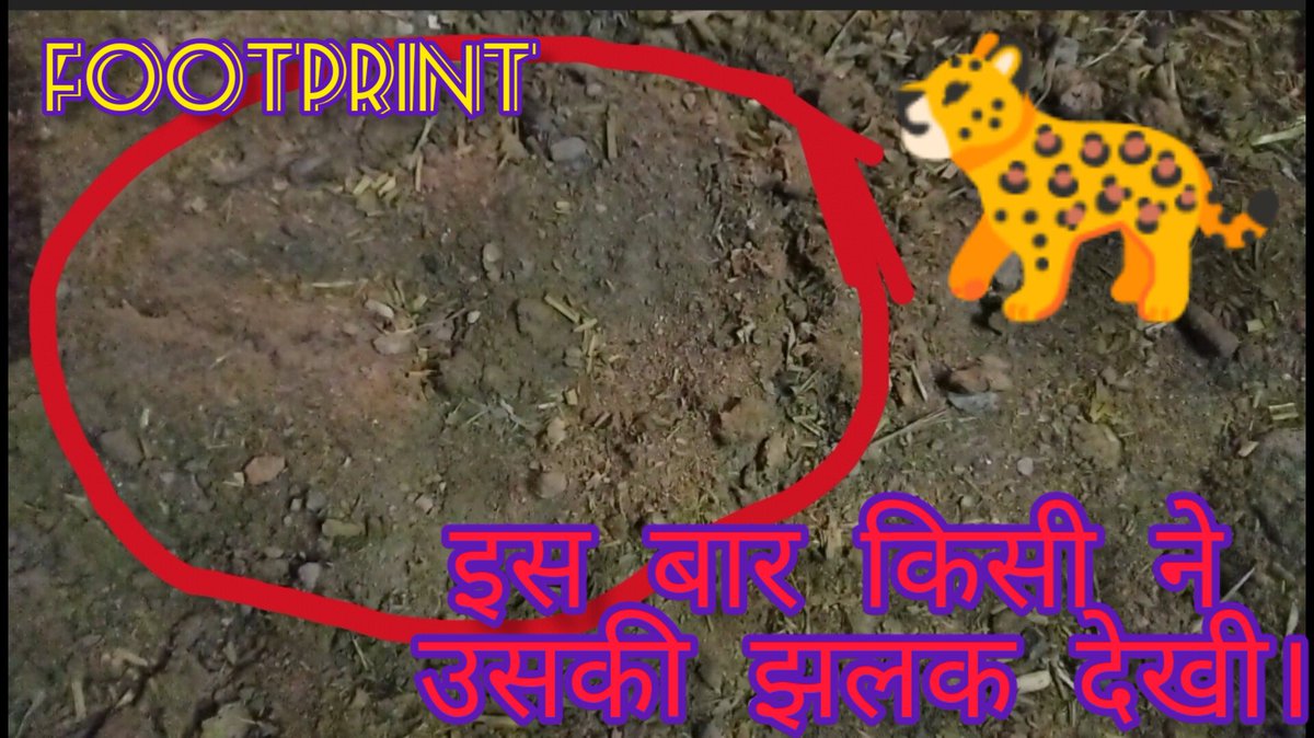 AjaySontu's tweet photo. https://t.co/2KgYfpMMRj

Date-09/04/2023, Time- 08:30PM approx.
इस बार तेंदुए को किसी ने देख लिया 🐆। This time the leopard was seen by someone 🐆. https://t.co/eynXyNSFaB