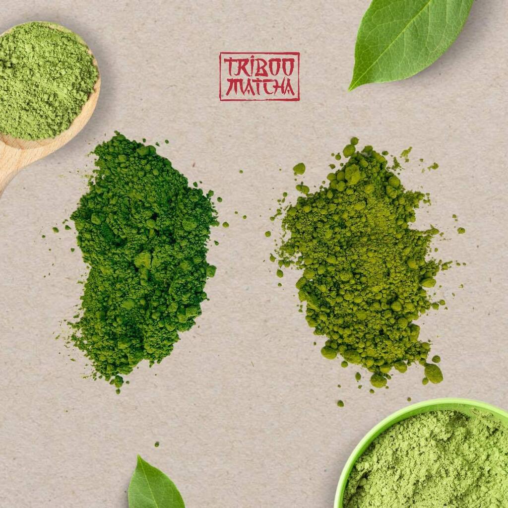 MatchaTriboo's tweet photo. ¿Aún no conoces las principales diferencias? 🍵

Matcha original 💚, color más claro,es un té macha perfecto para el día a día y para introducirlo en recetas culinarias. 

Matcha premium♥️, color más oscuro, un matcha para los paladares más exigentes, de hecho está pensado par… https://t.co/1YnbOGhvIi
