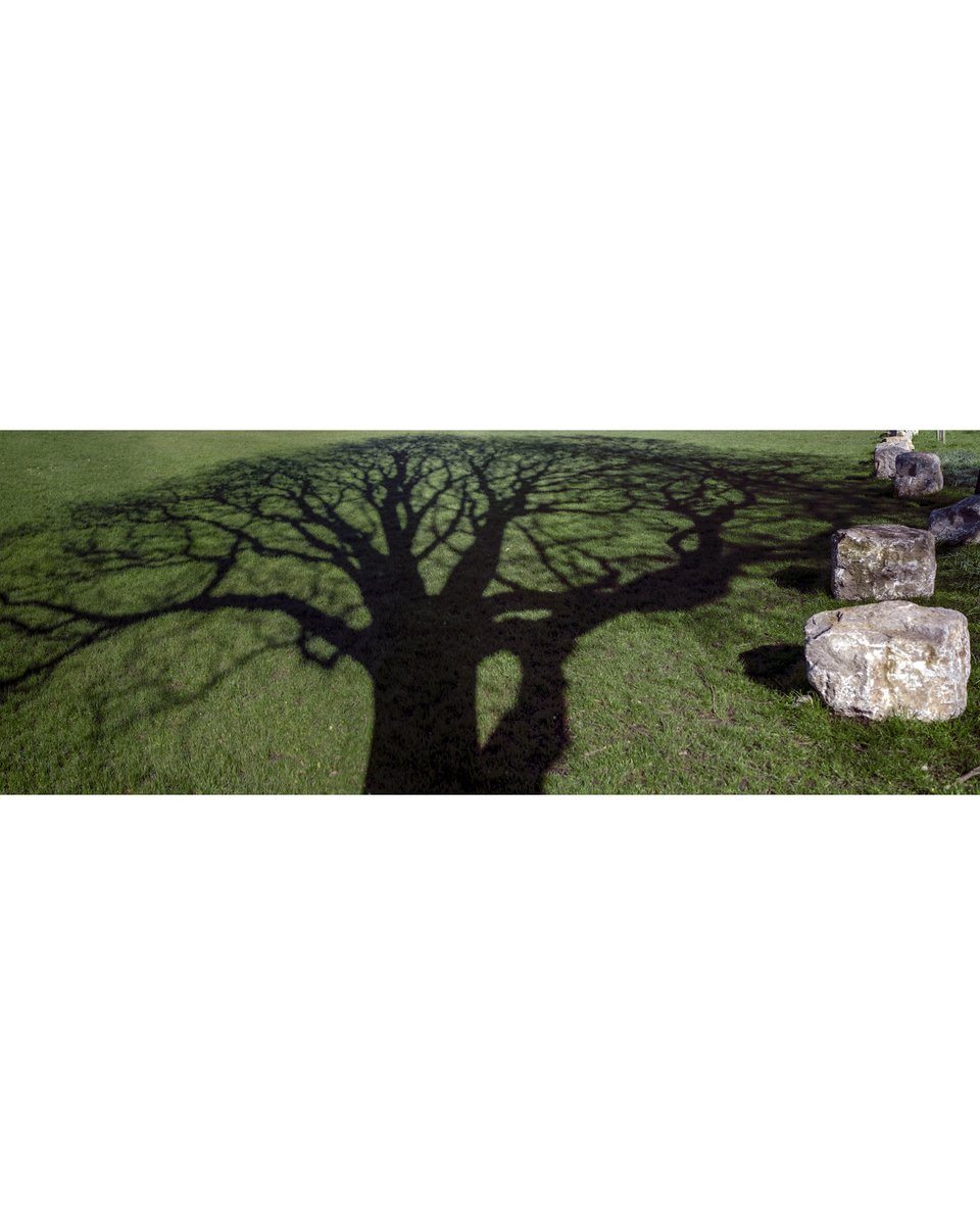 HeinrichPalmer's tweet photo. Canopies
#canopy #trees #treeshadow #ghosts #spiritofnature #southsea #spring #shadows #cast #projection #green #greening #pattern #ordinaryextraordinary #inplainsight
https://t.co/9mUWkt1Ue5 https://t.co/7BVLRbEsup