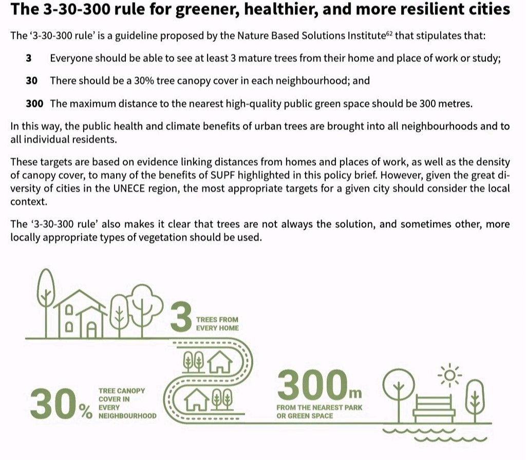 Want to create greener, more resilient #cities? 🌳 Follow the 3-30-300 rule! 👀 Every1 can see at least 3 mature 🌳, aim for 30% tree canopy cover, & keep public green spaces within 300m. Let's promote healthy living & a sustainable future for all! #GreenCities #ResilientPakistan