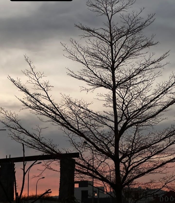 Imdadi Samaan امدادی سامان tweet media