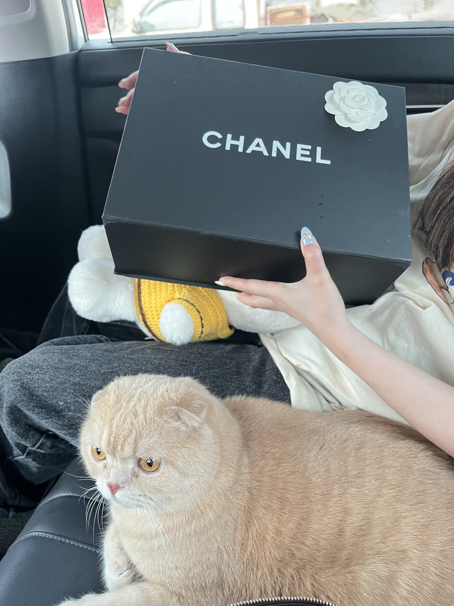 (rest) limahotelcharlie🤞🏻 tweet media