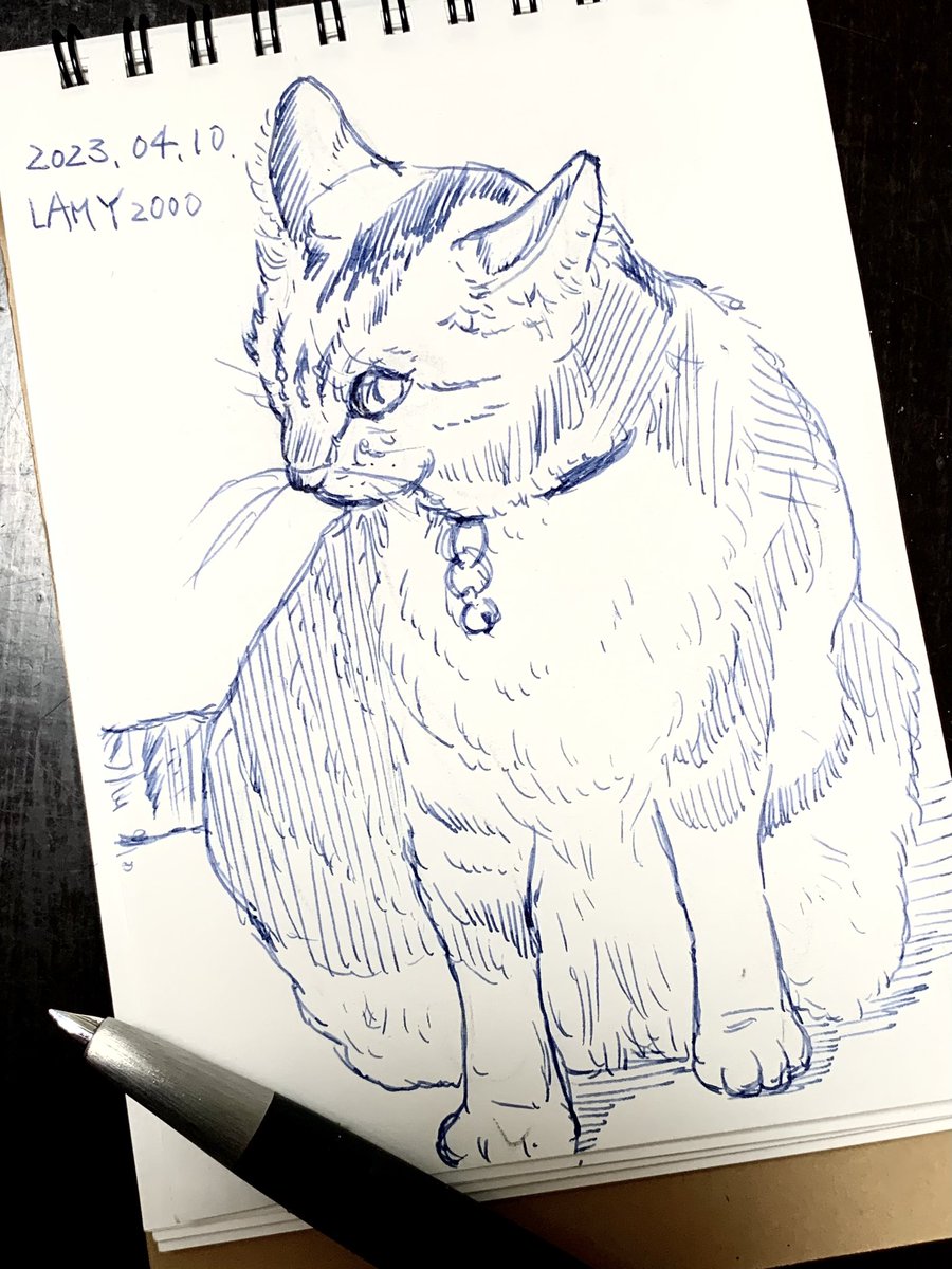 snow8392's tweet photo. 昨日見た猫、ふくふくしてて可愛かったです https://t.co/Itkyc4gZRV