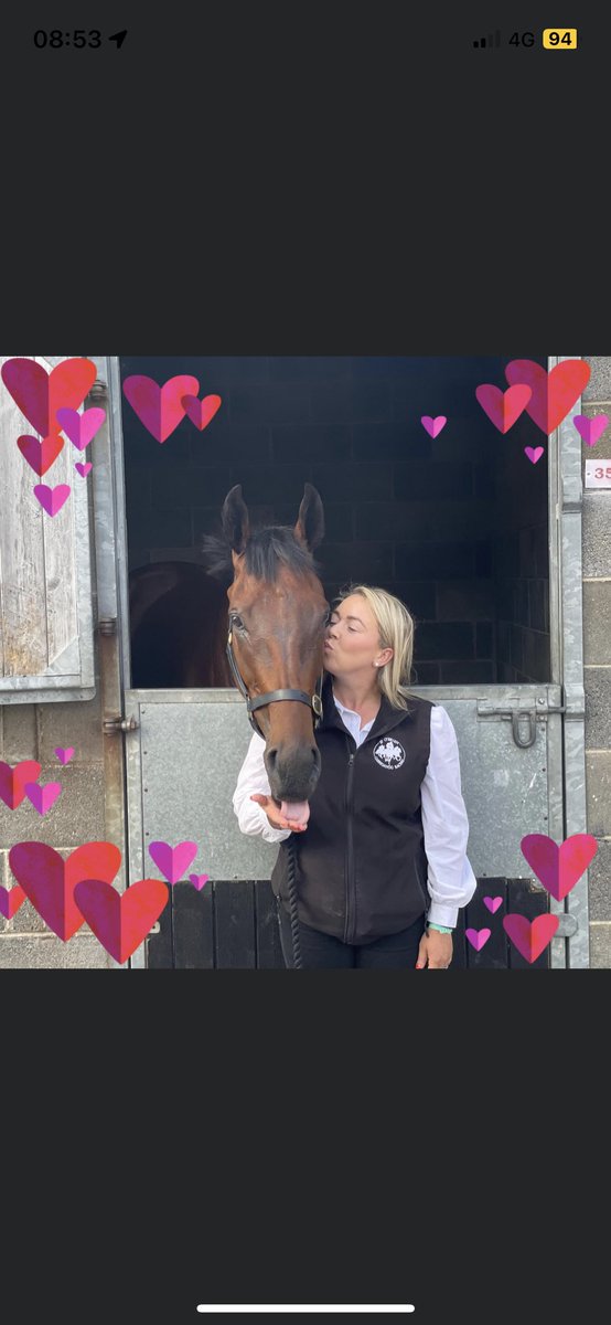 DavinaBoyle's tweet image. My handsome boy runs in the Irish national today @fairyhouse😬 please god he gets a clear run and comes back to me safe and sound 🙏❤️ #oneofthekids #irishnational #fireattack #fairyho