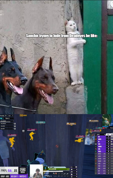 GriffixnzK's tweet photo. In his defence he did manage to take down 2 of them
#PMPLmemes
@EsportsPUBGM https://t.co/EPvH71H396