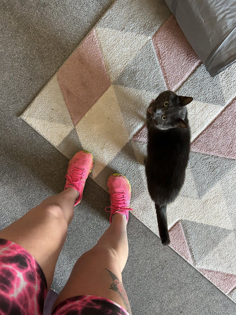 MawCal's tweet photo. Back to running 🏃🏼‍♀️ I’m on a roll 😂🙌🏼 https://t.co/yyC60mobfJ