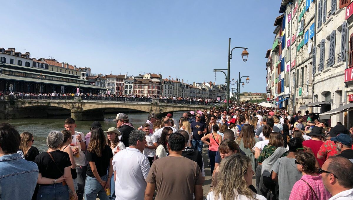 🗣️💬 "Il faut taper du poing sur la table" : à Bayonne, la grogne contre une foire au jambon devenue "des Fêtes bis" 👇

➡️ l.francebleu.fr/yq4A