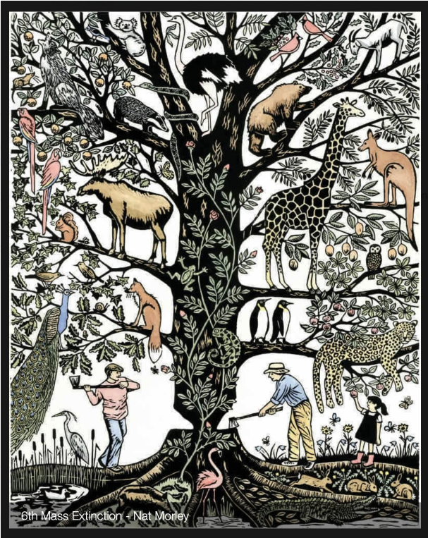 Bristol Tree Forum 🍃💚🍃 tweet media